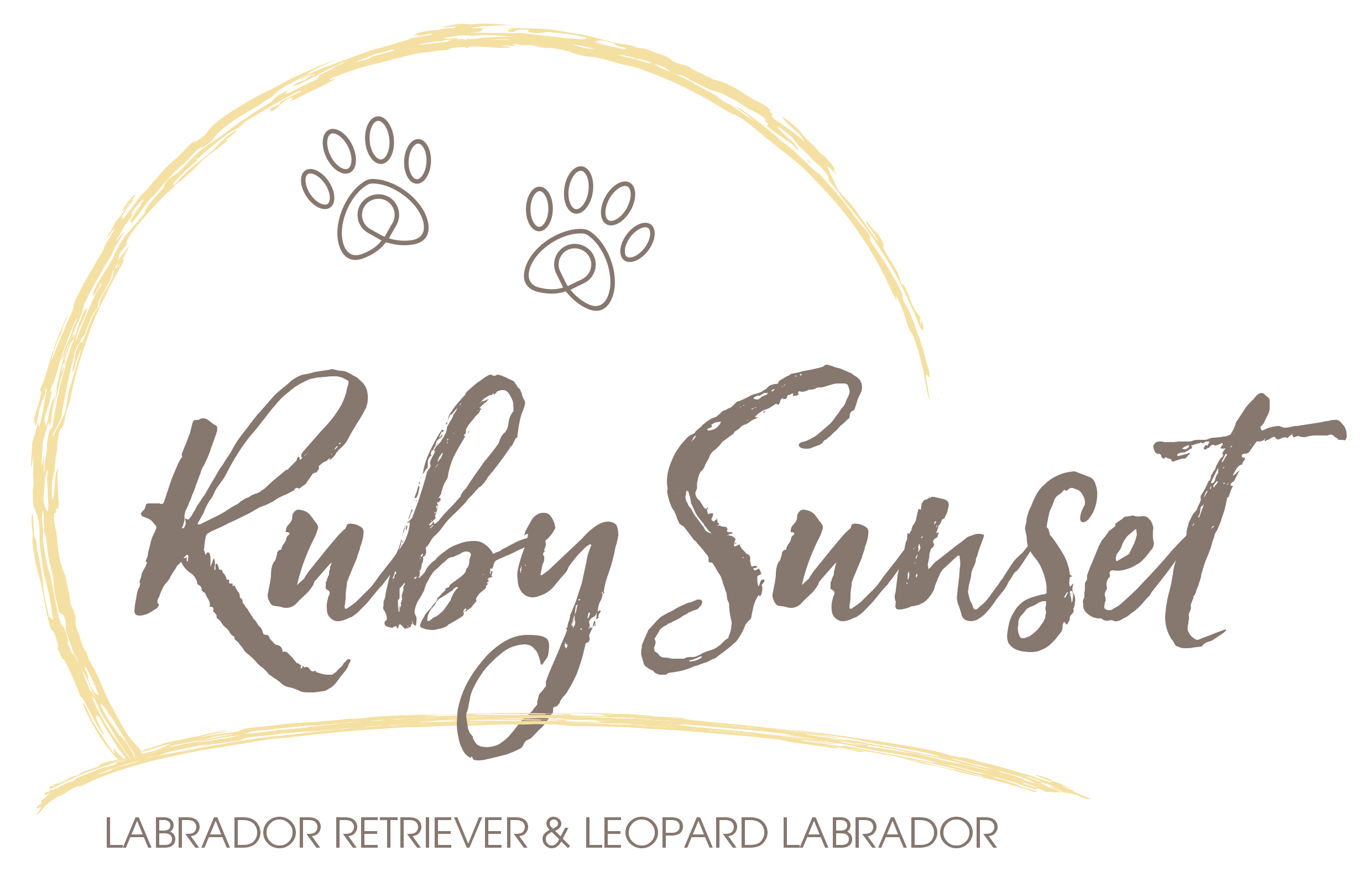 Ruby Sunset - Leopard Labrador Dog und Labrador Retriever Zucht